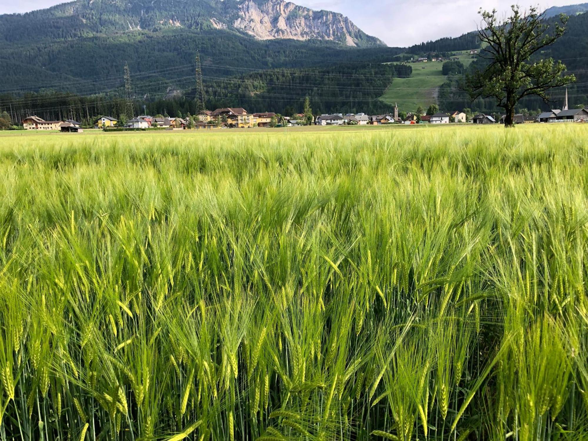 Baerenhuette Troepolach-Nassfeld Jenig Buitenkant foto